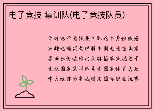 电子竞技 集训队(电子竞技队员)